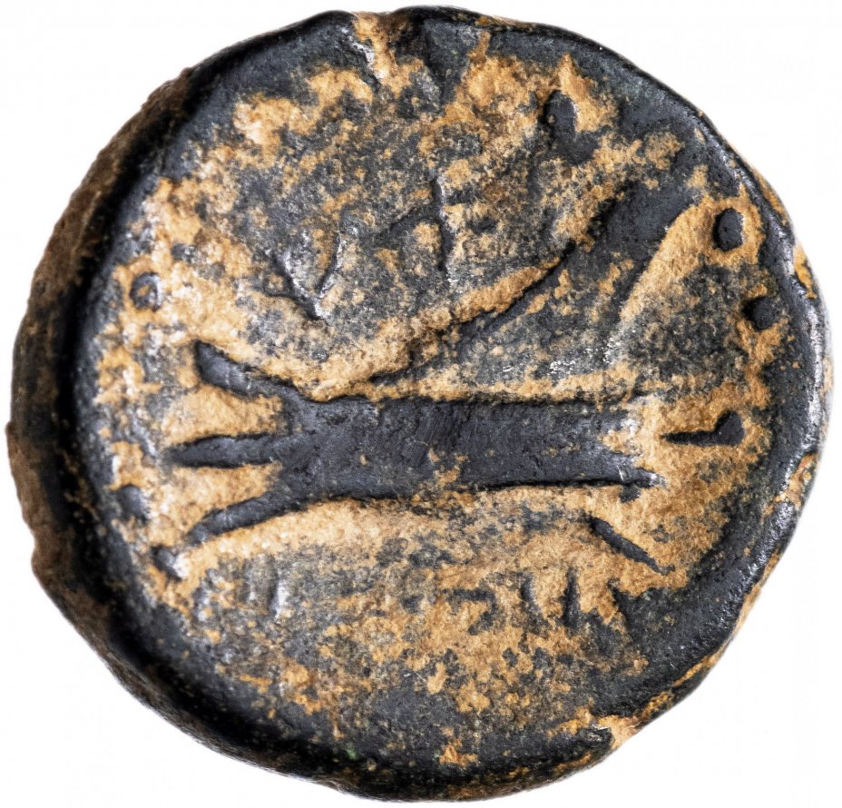 купить Монета Финикии, AE16 700-538 гг. до н.э. (аверс: голова Зевса, реверс: нос корабля)
