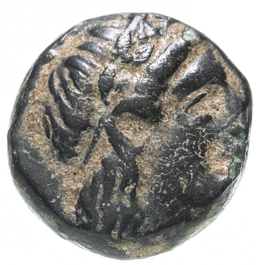 купить Троада, Антандрос, 400-300 годы до Р.Х., АЕ11.