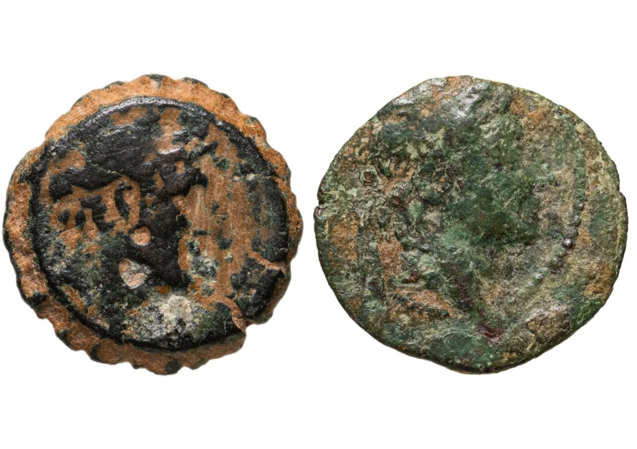 Два лота. Античные монеты Сирии Апамея. Монета с двумя головами. Номиналы монет Селевкидов.