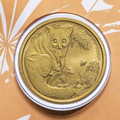 купить Австралия 1 доллар (dollar) 2013 "Детёныши диких животных - Поссум" (в конверте с маркой)