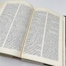 Купить Книга "Словарь античности", перев. В. И. Горбушин и др., бумага, печать, Издательство «Прогресс», СССР, 1989 г.