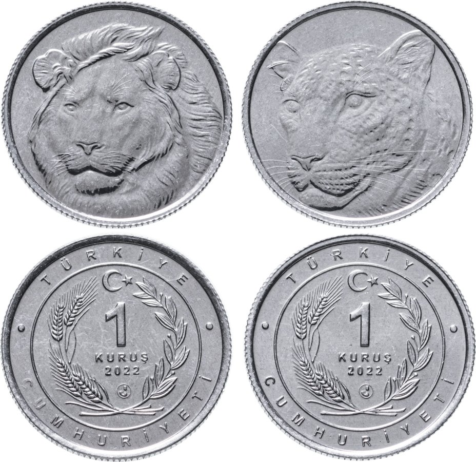 5 лев в рублях. 50 Лев в рублях. Турецкие монеты 5000000р. 100 Львов в рублях. Набор из двух монет Турции Darphane 2020.