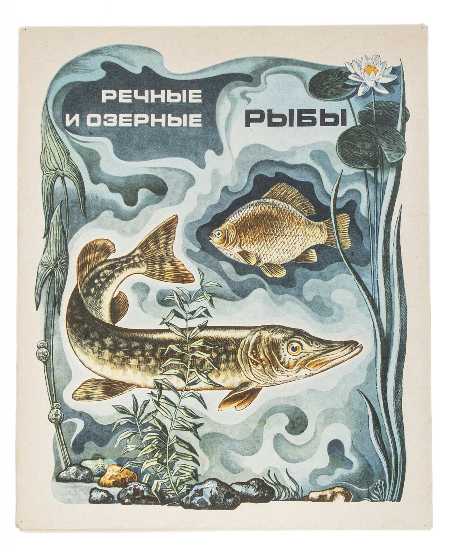Рыба книги купить. Речные и озерные рыбы. Книги про рыб. Рыбы СССР книга. Книги пресноводных рыб.