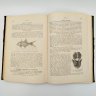 Купить Книга "Руководство по ихтиологии" ("Handbuch der Ichthyologie") на немецком языке, автор Альберт К. Л. Г. Гюнтер (Albert C. L. G. Günther), издательство Druck und Verlag von Carl Gerold’s Sohn (Вена), бумага, печать, Австрия, 1886 г.
