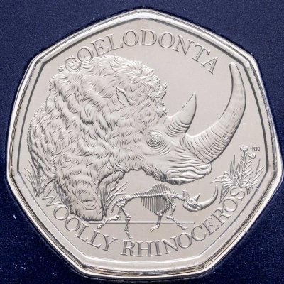 купить Великобритания 50 пенсов 2024 "Шерстистый носорог"