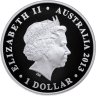 Купить Австралия 1 доллар 2013 "Национальный парк Какаду  - Азиатский ябиру черношейный аист", в футляре с сертификатом