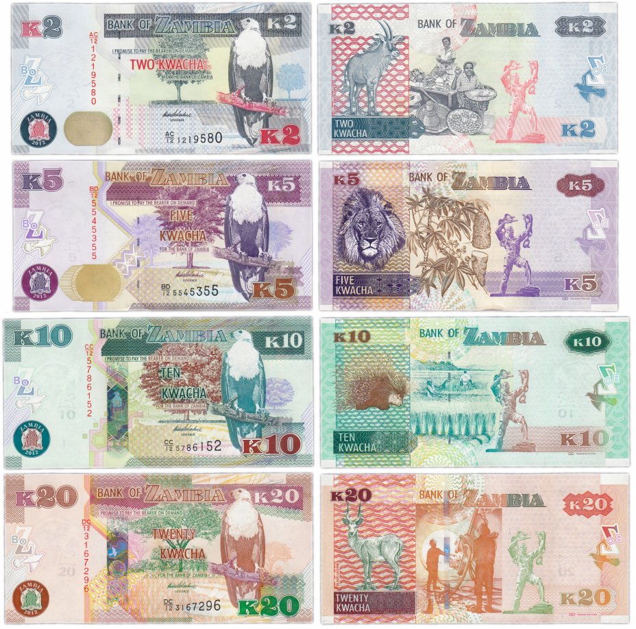 купить Замбия набор банкнот 2012 год (4 штуки) 2, 5, 10 и 20 квача