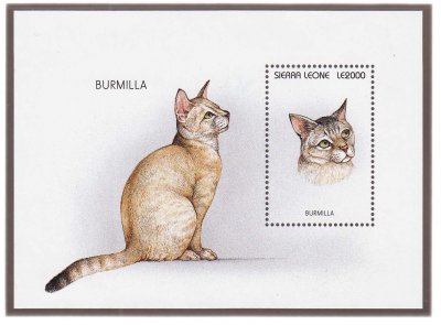 купить Сьерра-Леоне 2000 леоне 1996 серии "Кошки мира. Породы кошек. Бурмилла", почтовый блок