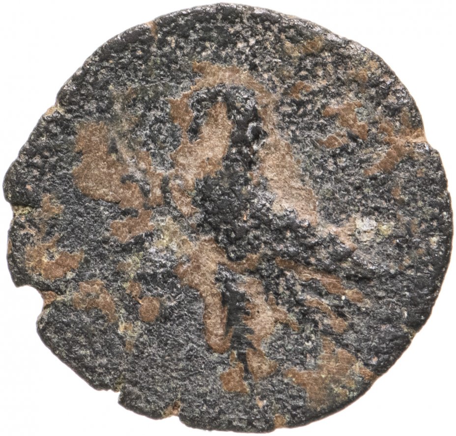 купить Селевкиды, Антиох VIII, 121-96 годы до Р.Х., АЕ20.