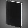 Купить Подарочный набор: Шариковая ручка Parker Jotter Essential, St. Steel СT, стержень: Mblue и Ежедневник недатированный черный, Металлы: нержавеющая сталь, хром, 2026 г.