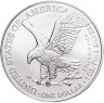 Купить США 1  доллар 2023 "Шагающая Свобода"