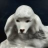 Купить Статуэтка "Пудель", скульптор Т.С. Линчевская, фарфор, роспись, Ленинградский фарфоровый завод (ЛФЗ), Российская Федерация, 1992-2001 гг.