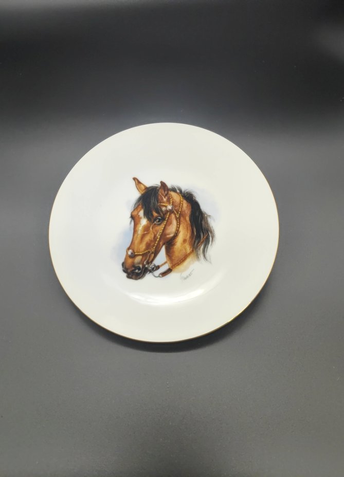 Тарелка лошадь. Тарелка с лошадью. Роспись на тарелке лошади. Тарелка с лошадкой на дне.