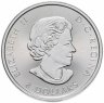 Купить Канада 8 долларов (dollars) 2016 "Белоголовый орлан"