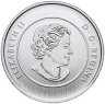 Купить Канада 20 долларов 2014 UNC "Канадская казарка" в блистере