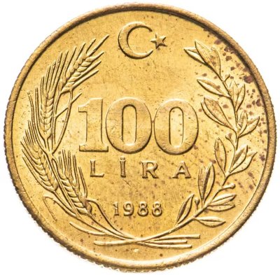 купить Турция 100 лир (lira) 1988-1993, случайный год