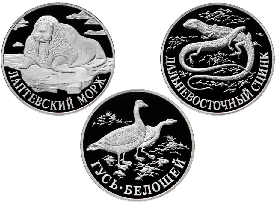 купить Набор из 3х монет 1 рубль 1998 СПМД Proof "Красная книга - морж, гусь, сцинк"