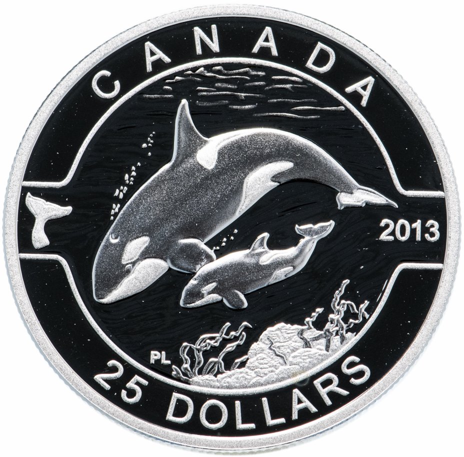 купить Канада 25 долларов 2013 "Косатка" в футляре, с сертификатом