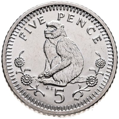 купить Гибралтар 5 пенсов 2003 "Берберская обезьяна"