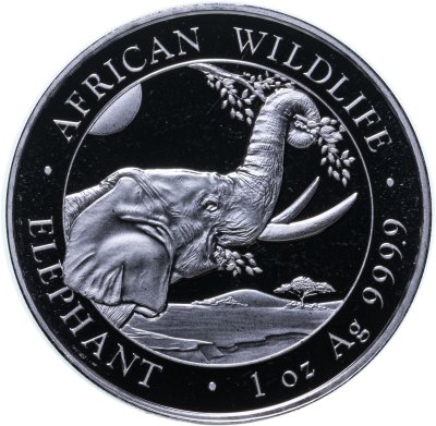 купить Сомали 100 шиллингов 2023 Африканская дикая природа - Африканский слон