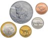 Купить Сомали полный годовой набор монет 2013 (5 шт.)
