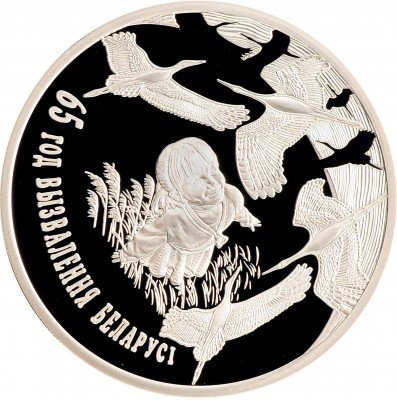 Купить Беларусь 20 рублей 2009 "65 лет освобождения Беларуси от немецко – фашистских захватчиков"