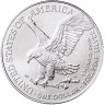 Купить США 1  доллар 2023 "Шагающая Свобода"