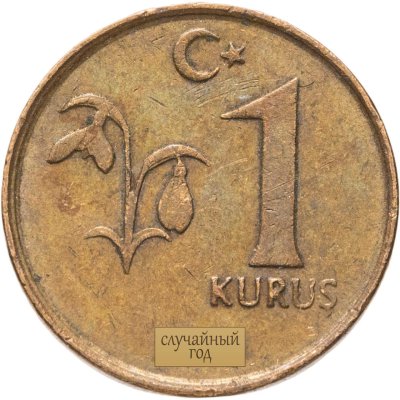 купить Турция 1 куруш (kurus) 2009-2021, случайный год