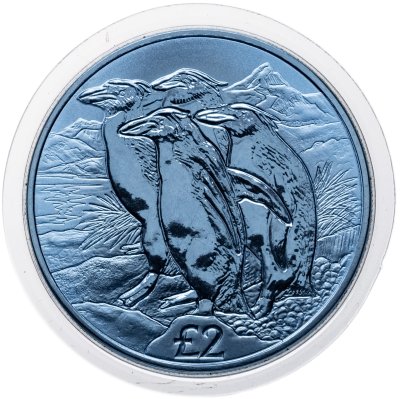 купить Южная Георгия и Южные Сандвичевы Острова 2 фунта 2019 «Золотоволосый пингвин»