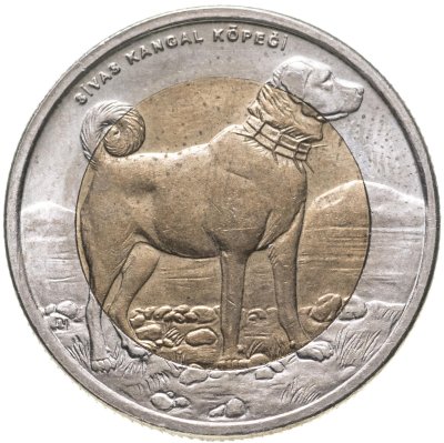 купить Турция 1 лира 2010 "Фауна Турции - Собака"