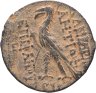 Купить Государство Селевкидов, Антиох VIII Грипп, 121/0-97/6 годы до Р.Х., АЕ19.