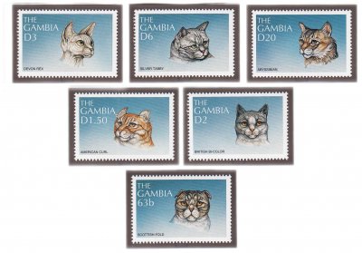 купить Гамбия набор из 6 марок 1997 серии "Кошки мира. Породы кошек", даласи