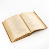 Купить Книга М.И. Михельсон "Меткие и Ходячие Слова", (Сборник русских и иностранных пословиц, изречений и выражений), бумага, коленкор, тиснение, золочение, Лештуковская паровая скоропечатня П. О. Яблонского, Российская империя, 1894 г.