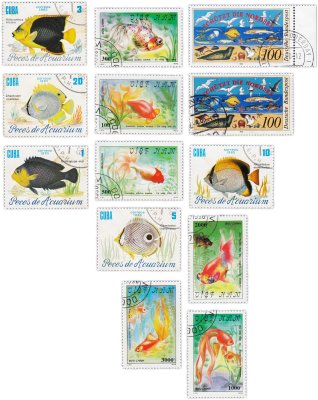 купить Набор из 13 марок "Фауна. Рыбы"