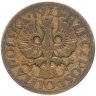 Купить Польша 5 грошей (groszy) 1923