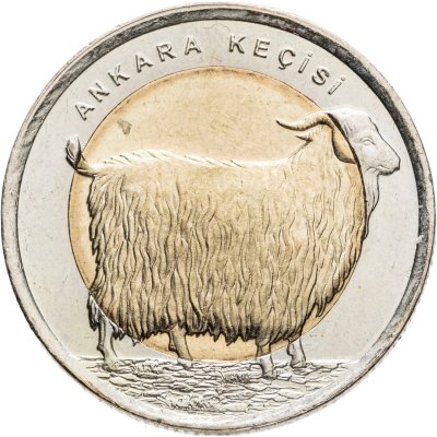 купить Турция 1 лира (türk lirasi) 2015 Фауна Турции - Ангорская коза