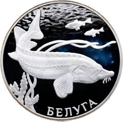купить 2 рубля 2019 СПМД Белуга