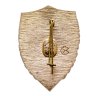 Купить Знак Лучший  Дружинник  УССР (Разновидность случайная )