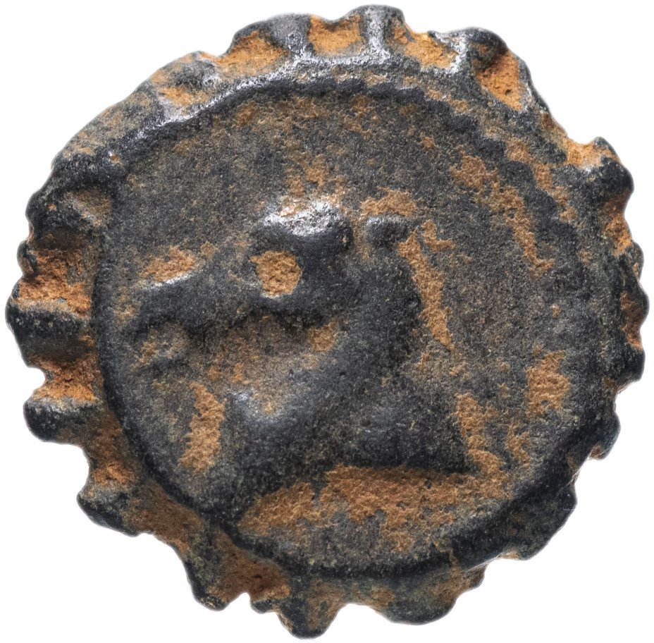 купить Селевкиды, Деметрий I Сотер 162-150 до. Р.Х., АЕ 16. (Слон,Лошадь)