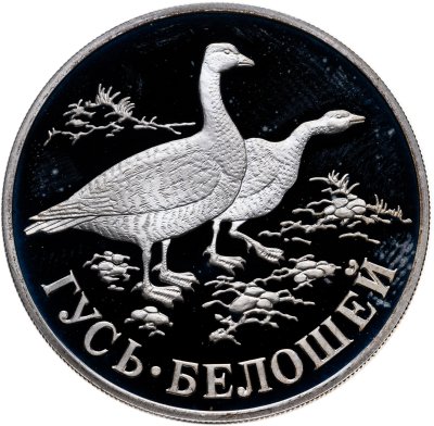 купить 1 рубль 1998 СПМД гусь-белошей