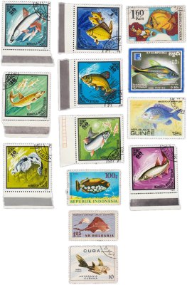 купить Набор из 13 марок "Фауна. Рыбы"