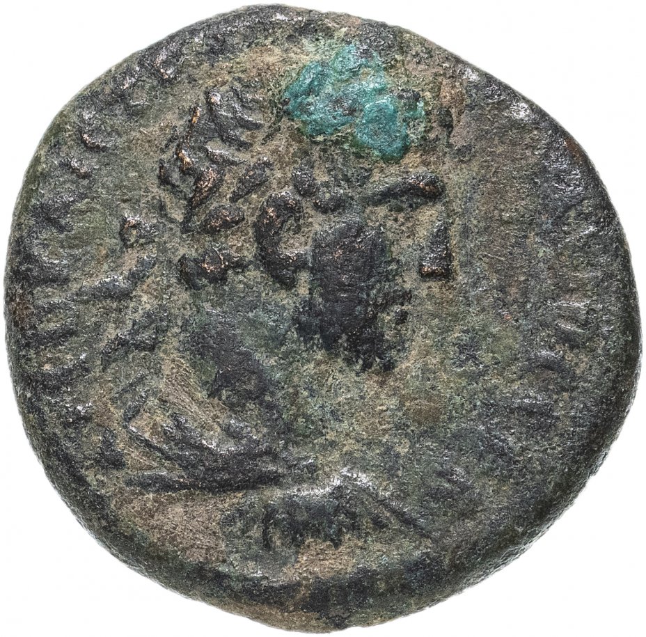 купить Римская империя, провинция Сирия, Адриан, 117-138 годы, Трихалк. Антиохия