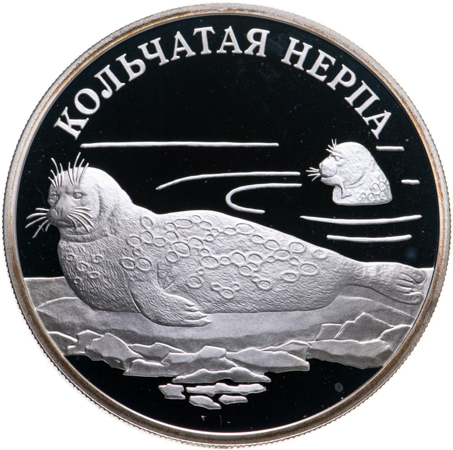 купить 1 рубль 2007 СПМД кольчатая нерпа (ладожский подвид)