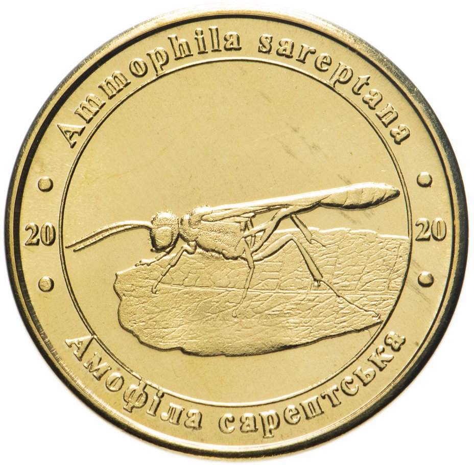 купить Украина монетовидный жетон 1 злотник 2020 "Красная книга Украины-Аммофила сарептская"