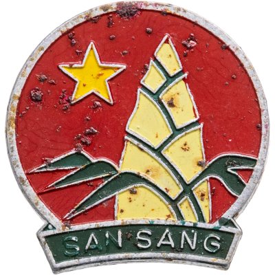 купить Значок Пионер Северного Вьетнама ( San Sang ) (Разновидность случайная )