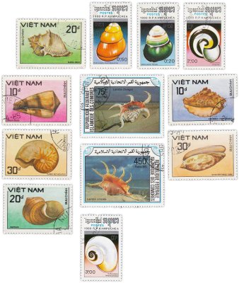 купить Набор из 12 марок "Фауна. Море. Океан. Ракушки и улитки"