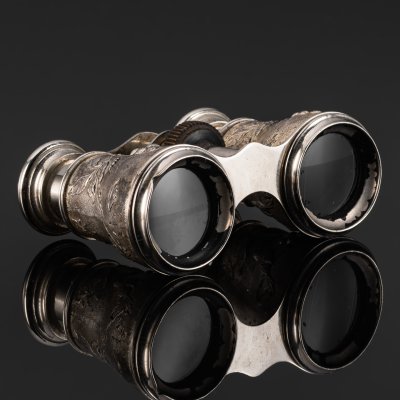 купить Бинокль театральный с декором в виде птиц на ветках, металл, стекло, Западная Европа, 1900-1930 гг.