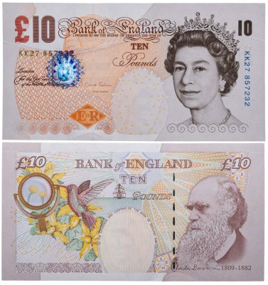 купить Англия 10 фунтов 2000 (Pick 389d)