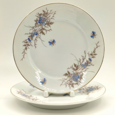 купить Пара десертных тарелок с цветочным декором, De Fuisseaux Baudour, фарфор, деколь с подрисовкой, золочение, Бельгия, 1900-1918 гг.