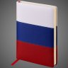 Купить Подарочный набор:Шариковая ручка Parker Jotter Russia SE, цвет: St. Steel GT и Ежедневник недатир. триколор, Металлы: латунь, нержавеющая сталь, позолота, 2026 г.